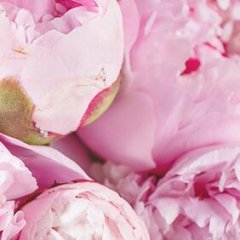 成都微信开发：合泰云商